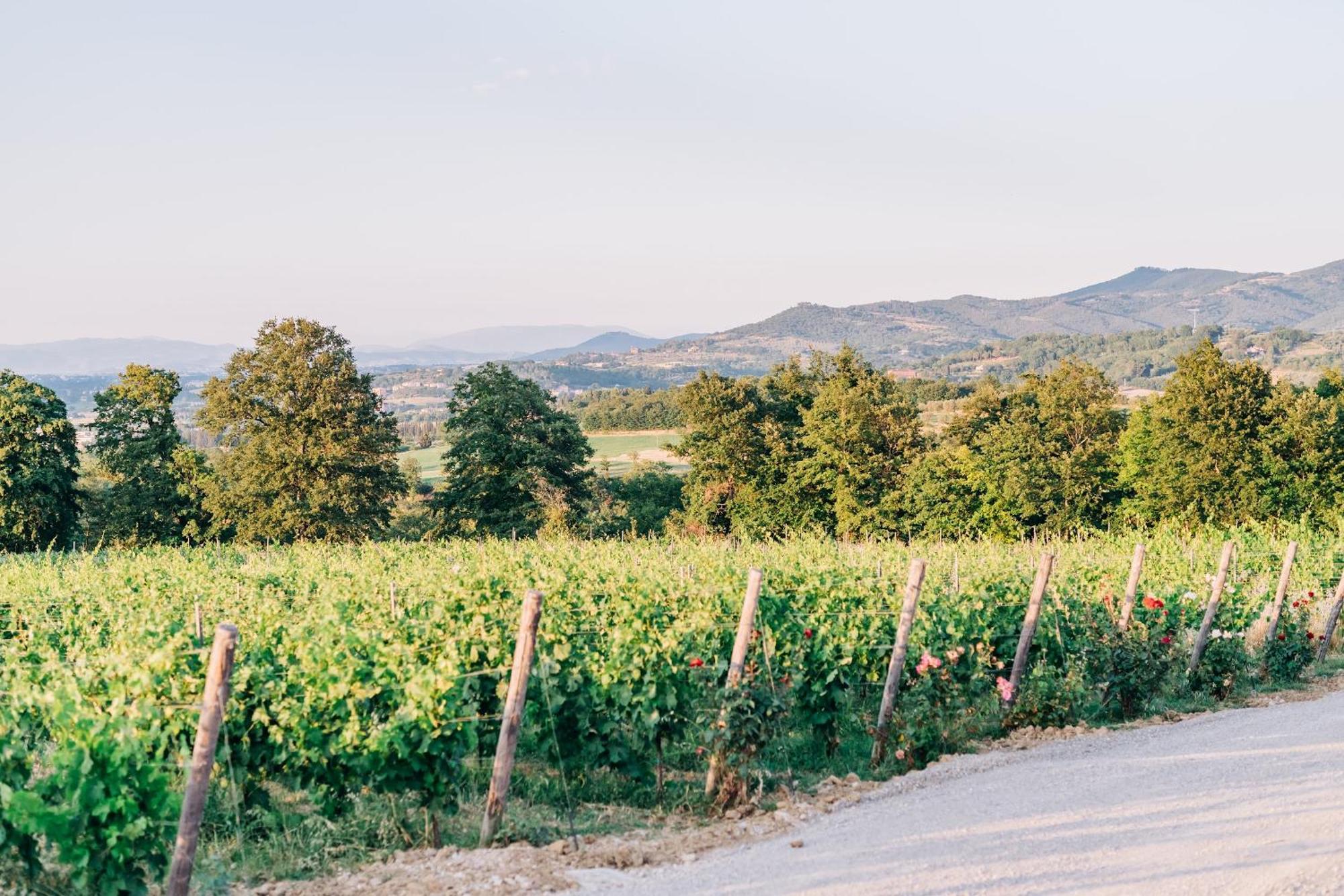 Вилла Borgo Siliano - Antico Podere Siliano Читта-делла-Пьеве Экстерьер фото